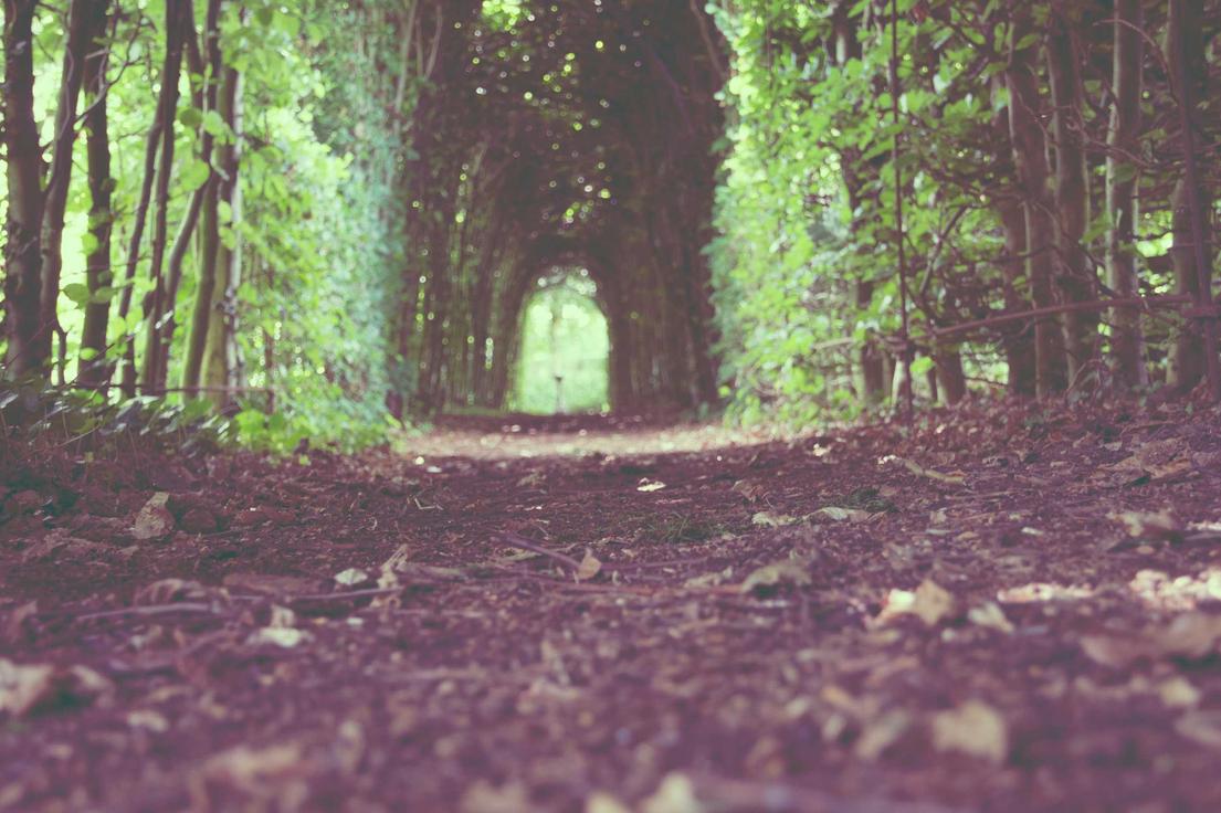 Dolorem unde sequi fugit mollitia nemo