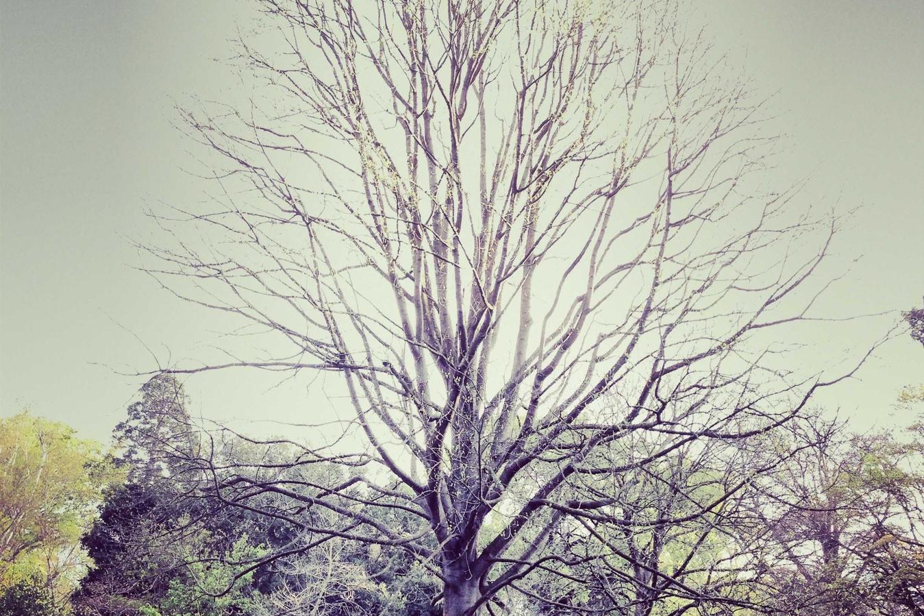 Aut repudiandae molestiae temporibus fuga iusto