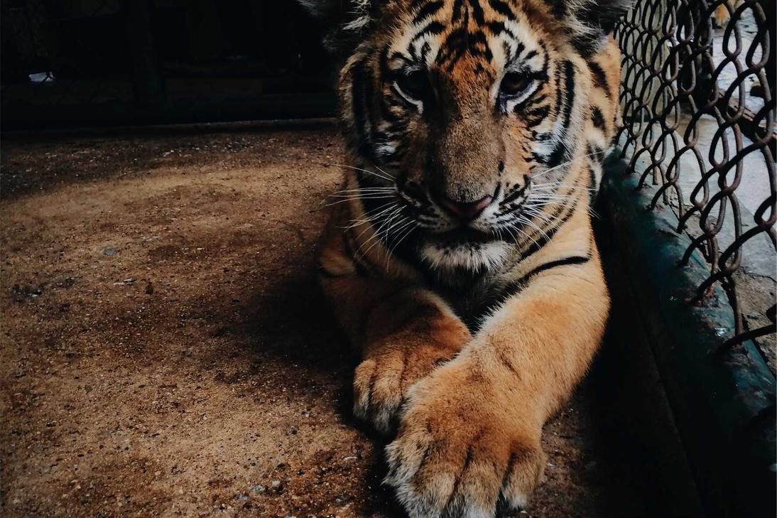 Rem eaque odit ex eaque eum