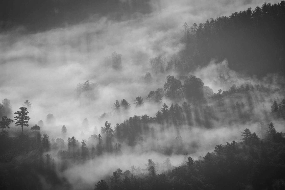 Et sit voluptas quis alias voluptates